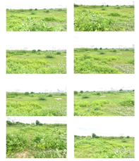 MONIKA FINE-180920251